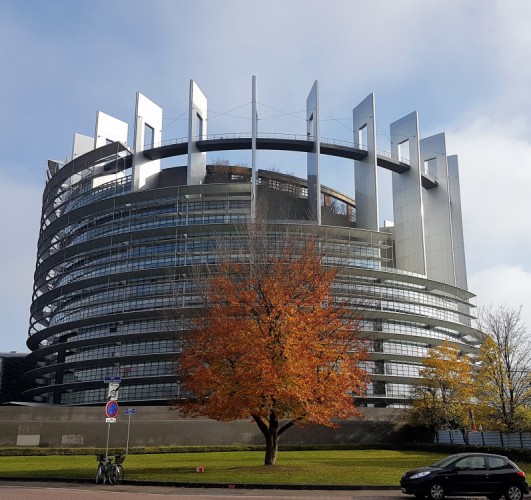 Európsky parlament 7