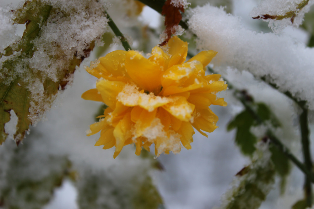 krásna aj pod snehom