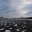 výlov