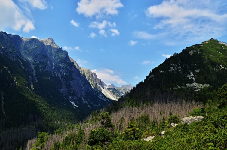 Tatry