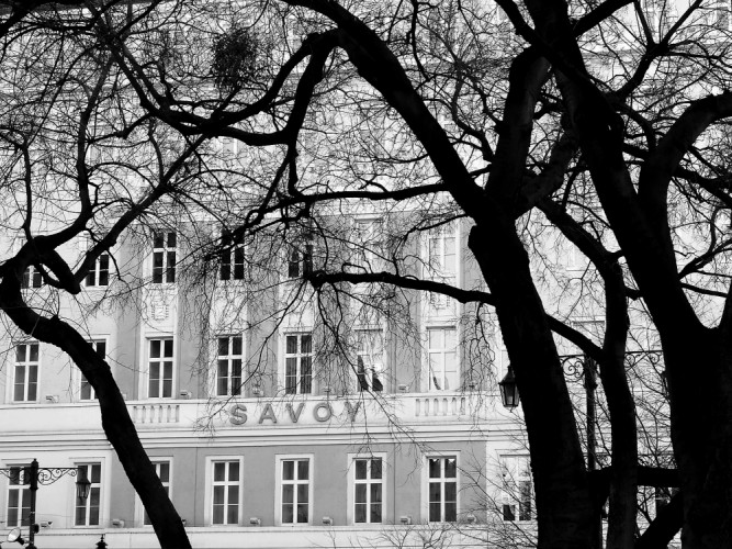 Savoy v zime
