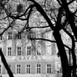 Savoy v zime
