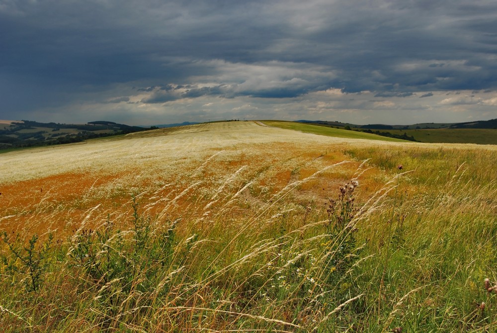 .. kopanice ...