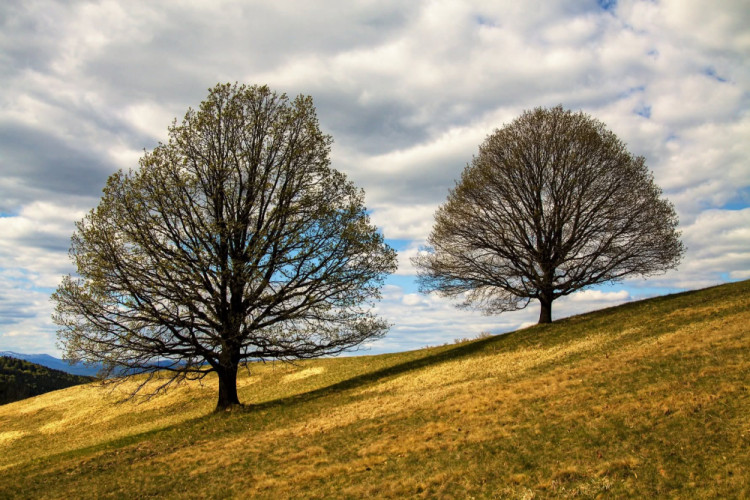 Dve duše na jednom horizonte