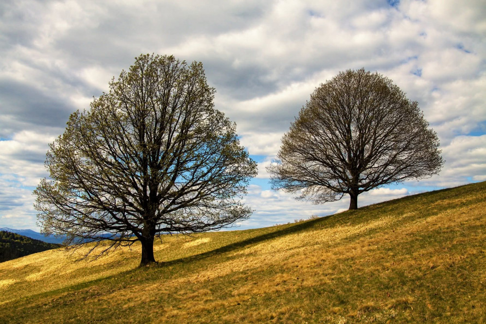 Dve duše na jednom horizonte