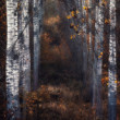 Jesenný lužný les