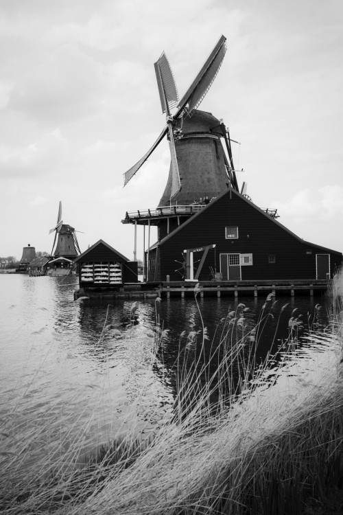 Zaanse Schans