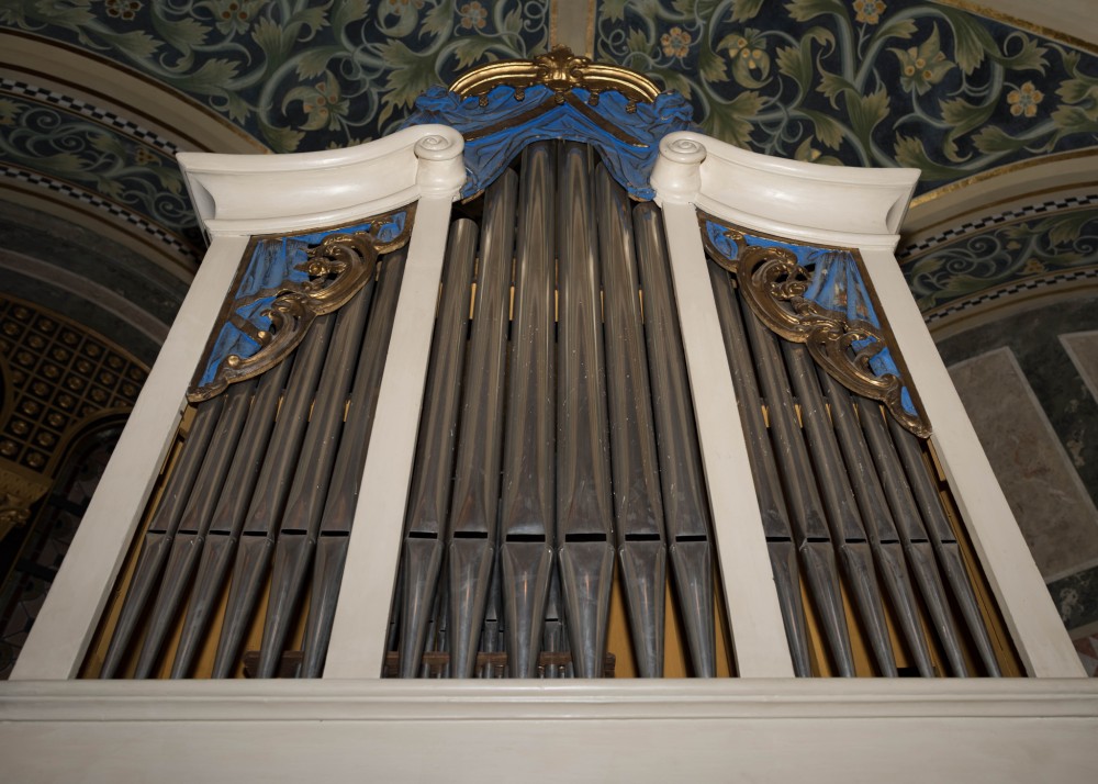 Organ