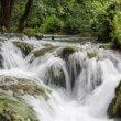 NP Krka