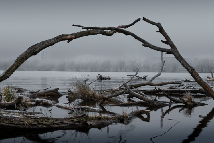 Zimné zákutie v objatí hmly ❄️