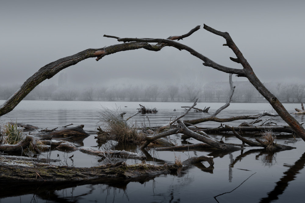 Zimné zákutie v objatí hmly ❄️
