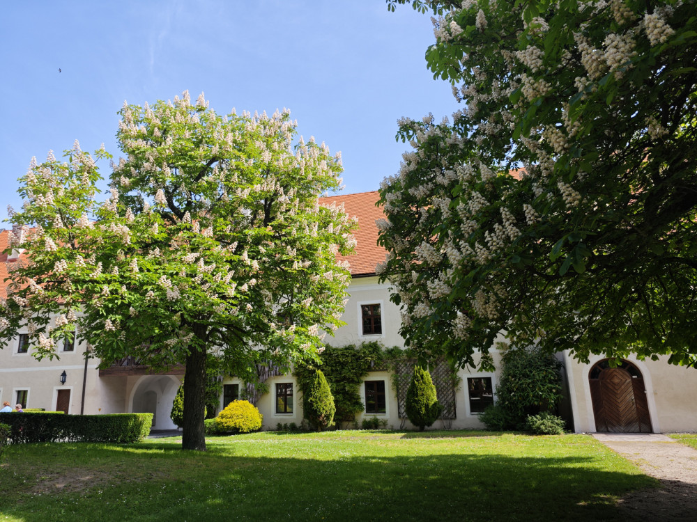 Červený Kameň