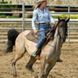Rodeo