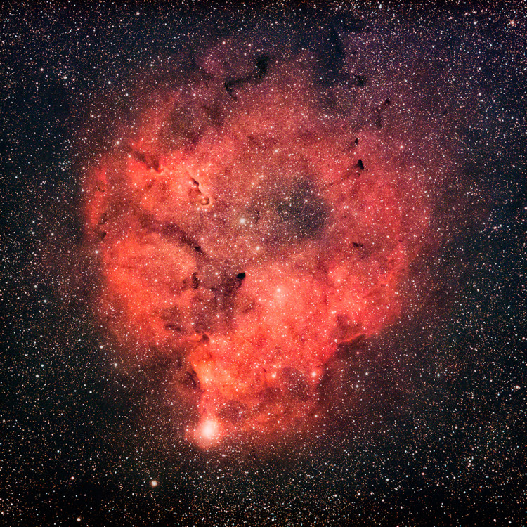 Hmlovina Sloní chobot IC 1396