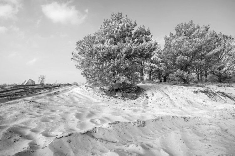 Desert near Bratislava 03