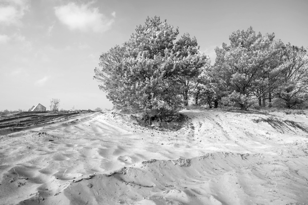 Desert near Bratislava 03