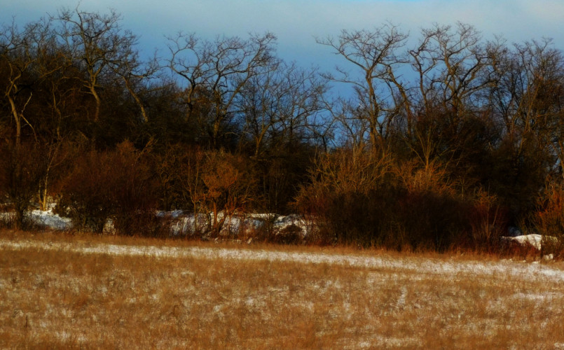 tanečnice pod hradom