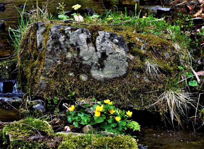 U jarního potúčku