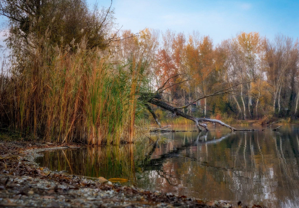 jeseň pri vode