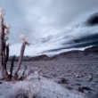 Arizona IR (II)