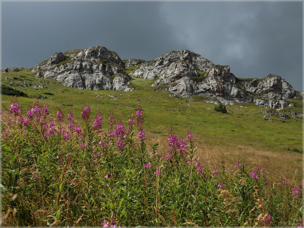 Malá Fatra