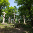Kalvária nad Červeným Kameňom