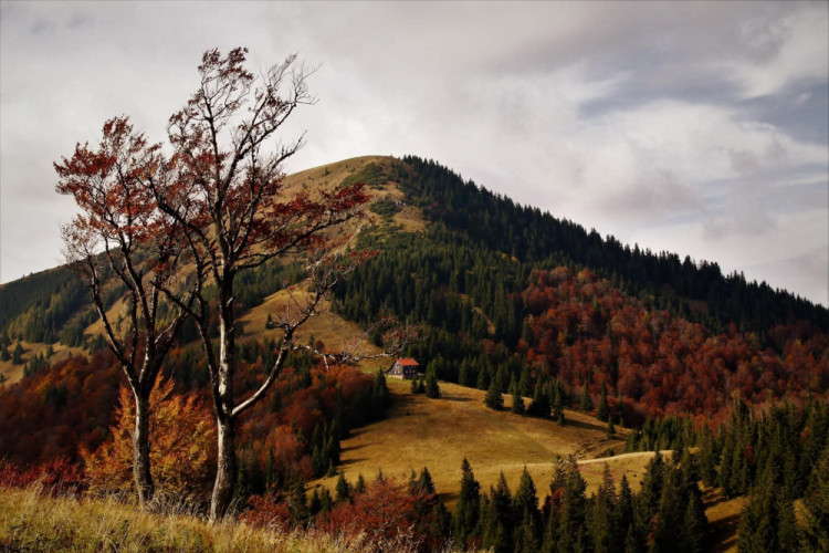 Hrdzavá Fatra