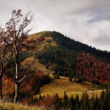 Hrdzavá Fatra
