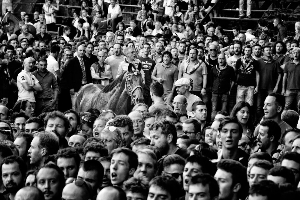 Palio di Siena II