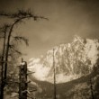 Vysoké Tatry