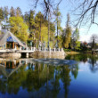 Rajecká