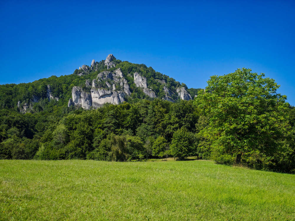 Súľovské skaly