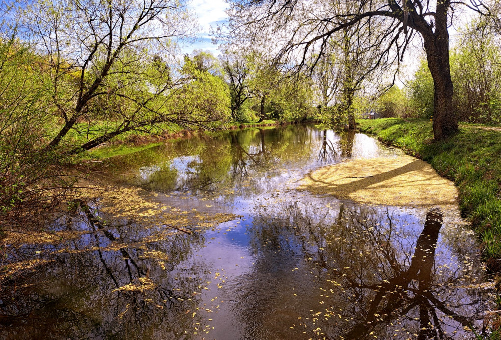 Zrkadlo jari