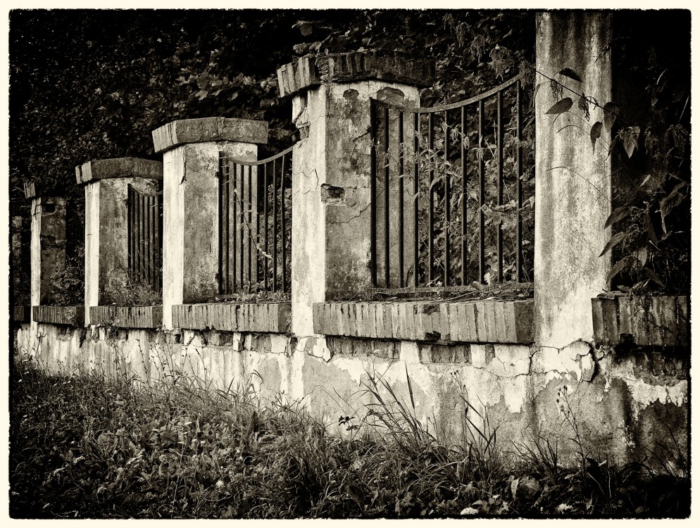 Plot BW