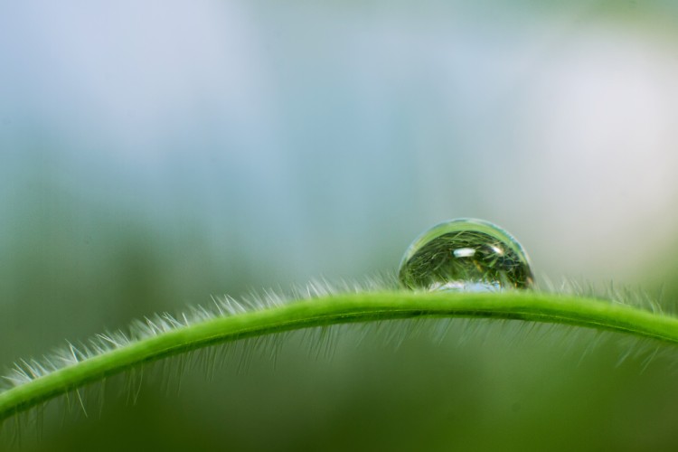 Water drop1