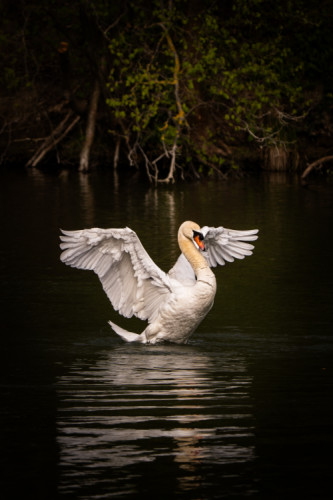 Pozri aký som krásny