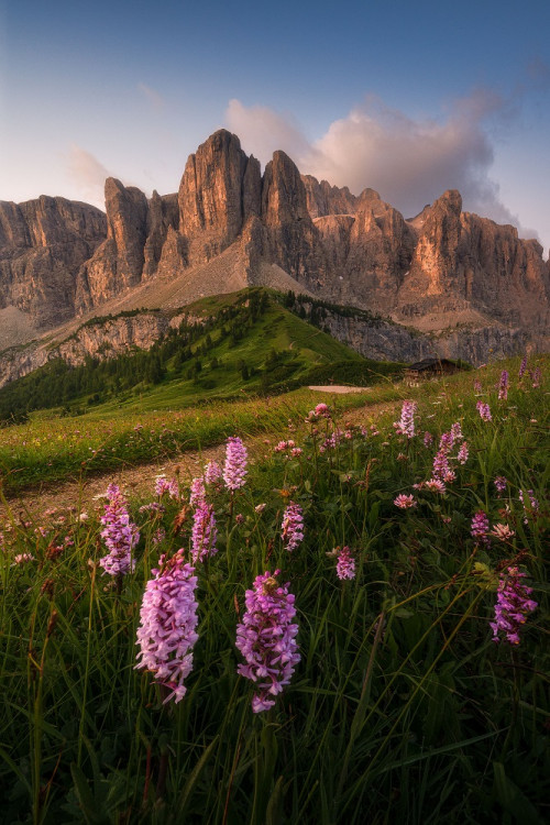 Rozkvitnuté Dolomity