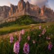 Rozkvitnuté Dolomity
