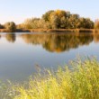 Dolná Streda - Rameno