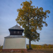 Haluzice