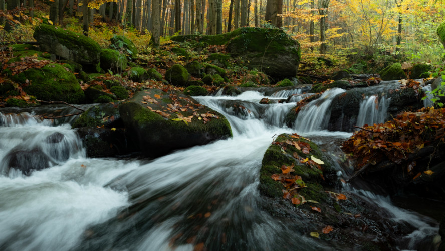 Jeseň v Bystričianskej II.