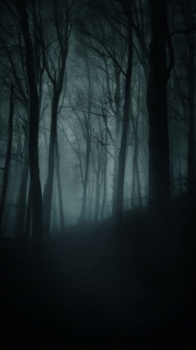 Creepy wood