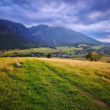 Ždiar