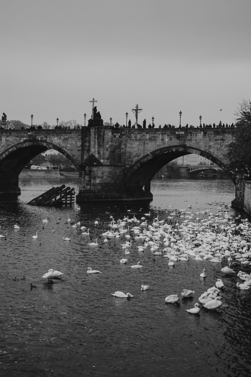 Prague II