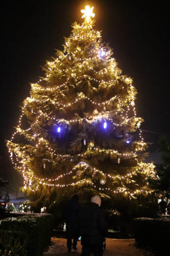 Vianočný stromček v Senci