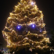 Vianočný stromček v Senci