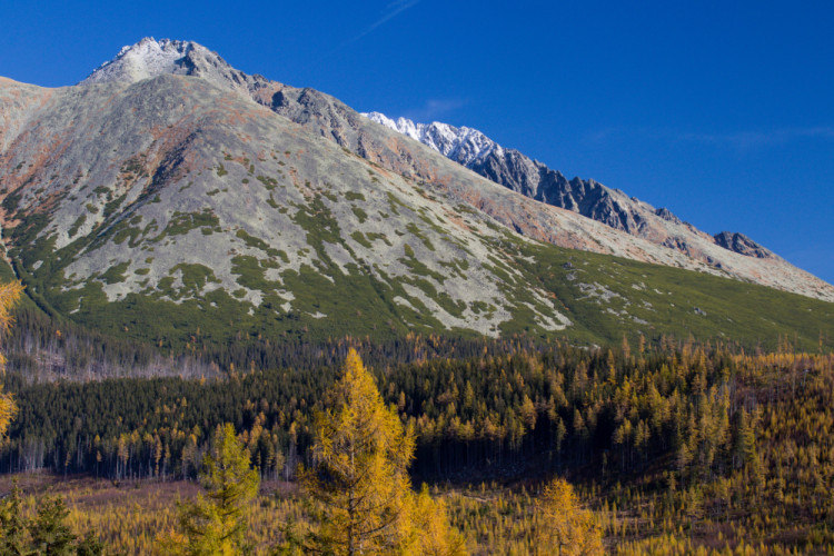 Končistá-Gerlach