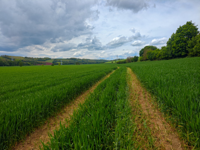 Záhorie