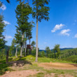 Malé Karpaty