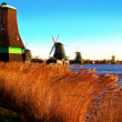 Holandské mlyny